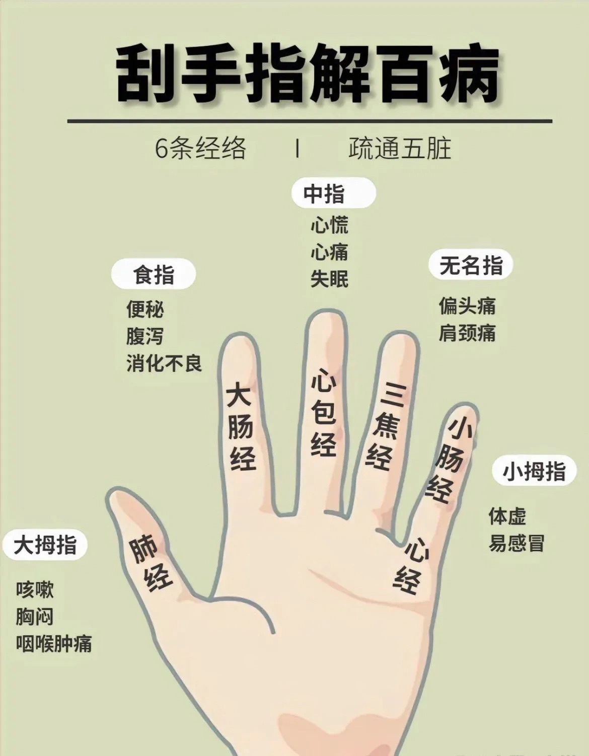 五根手指，六条经络，各有作用！#寻找好中医##中医式生活# ​​​