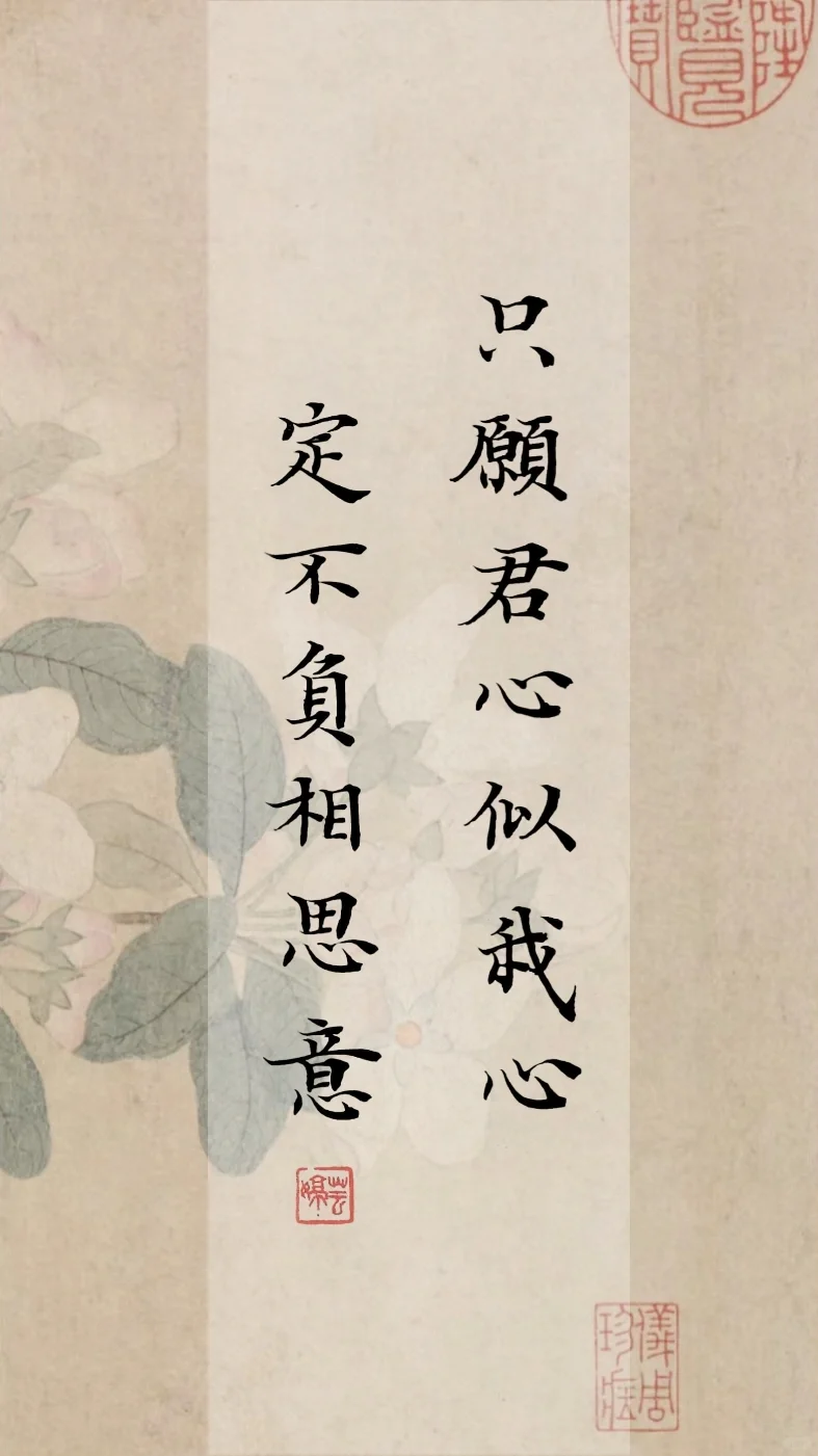 古风小楷|只愿君心似我心，定不负相思意❤