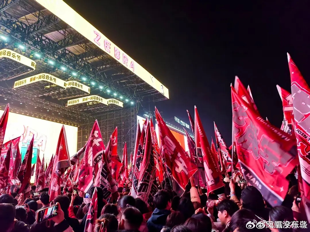 阜阳斑马音乐节华晨宇歌坛顶流排面拉满，大旗密集到挥不动，粉丝还安排了商场痛楼➕接