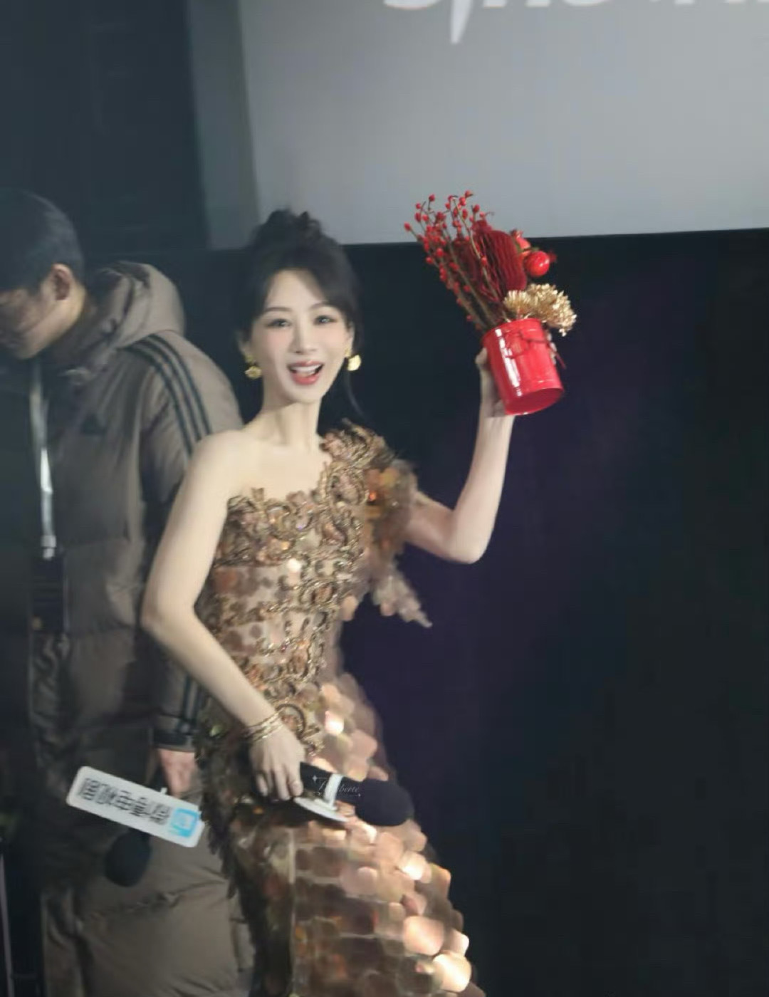 今年微博之夜的微博queen是赵丽颖，赵丽颖去年没少在小浪砸钱营销，她前阵子捐款