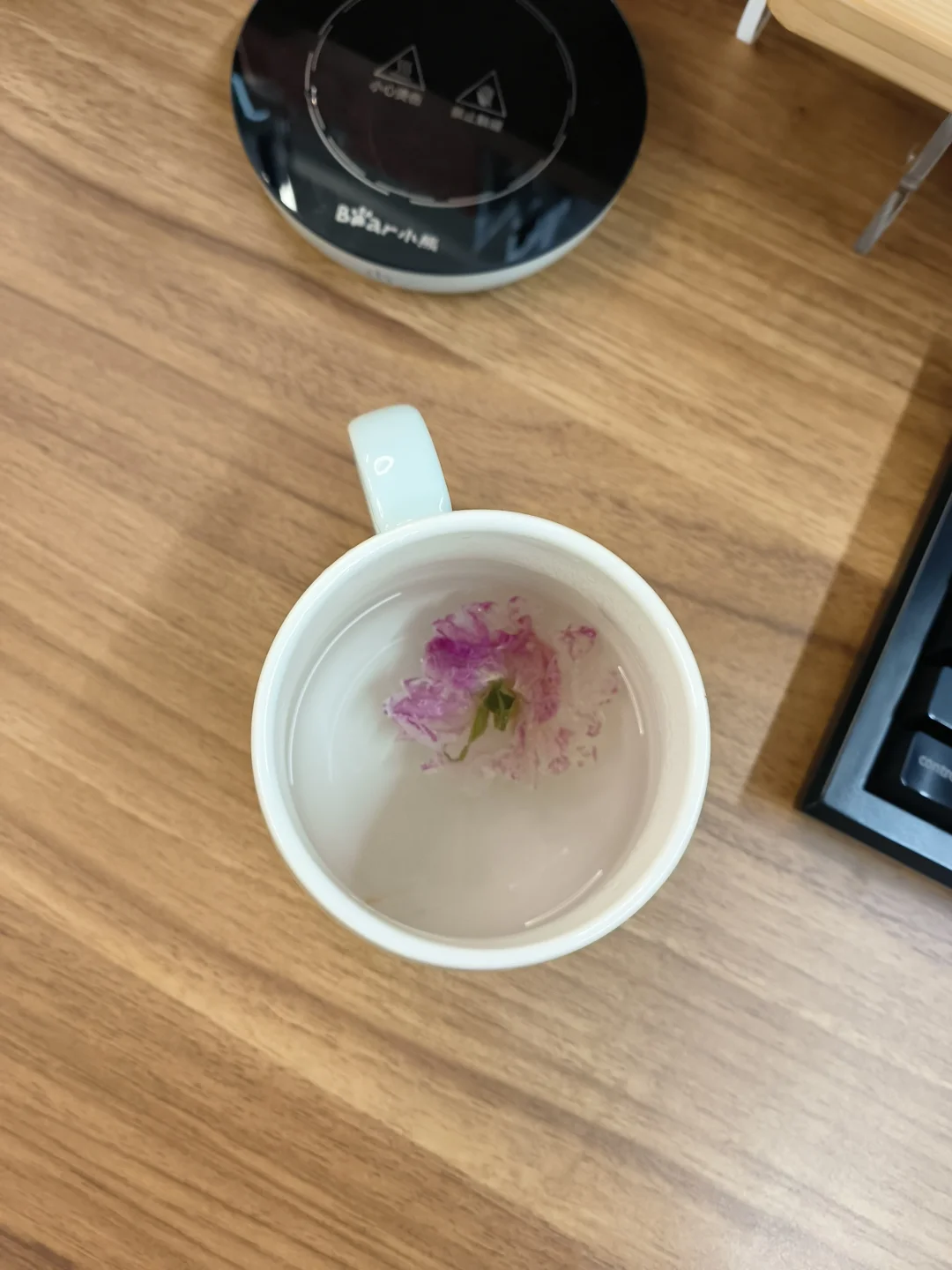 新款玫瑰花怪好看的嘞