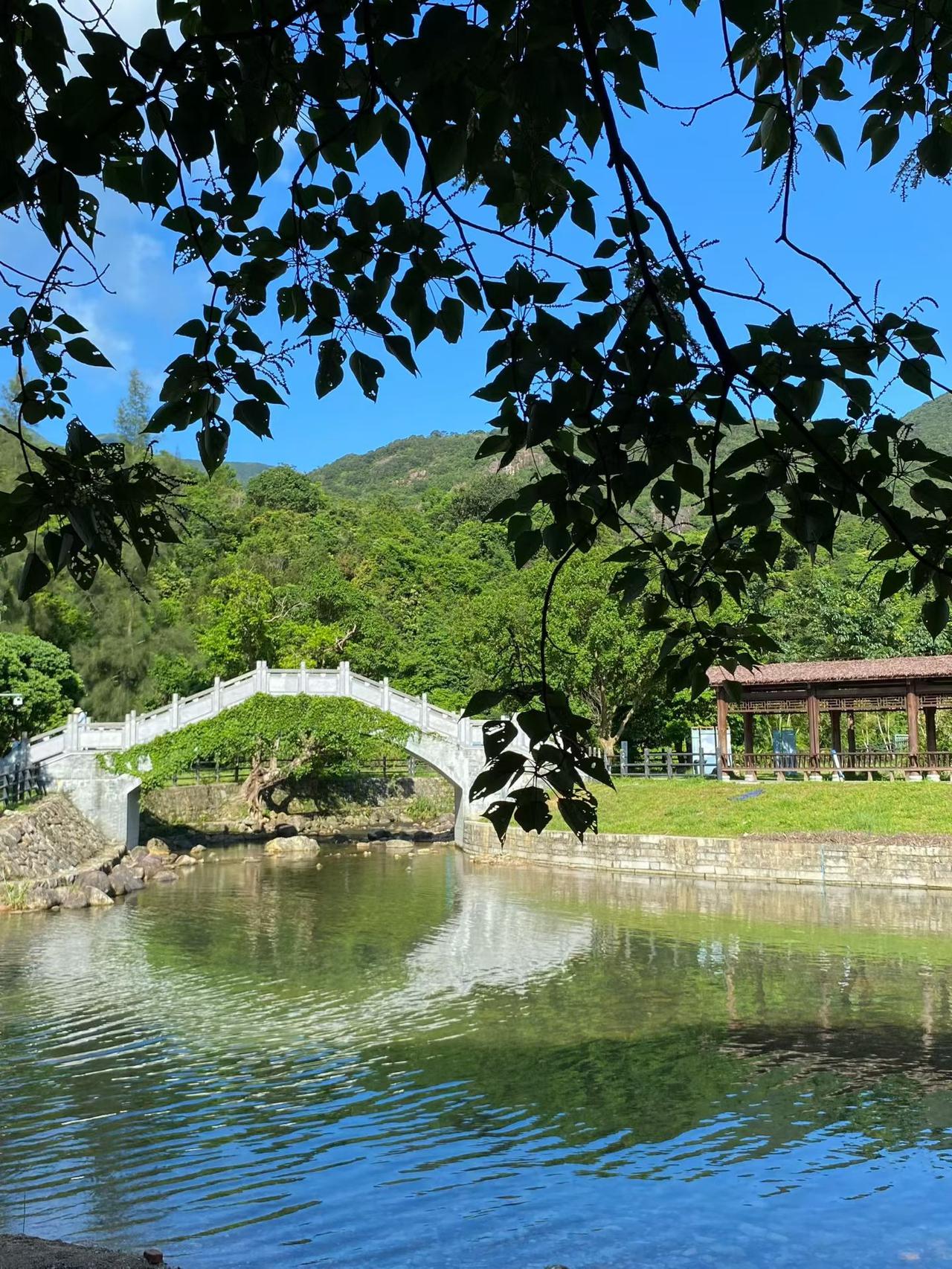 分享一张相册里随手拍下郊外的风景