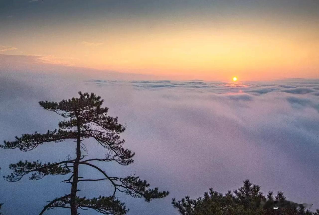 一个人的修养，往往体现在他知道什么时候该沉默，什么时候该发声。

而这份沉默，不