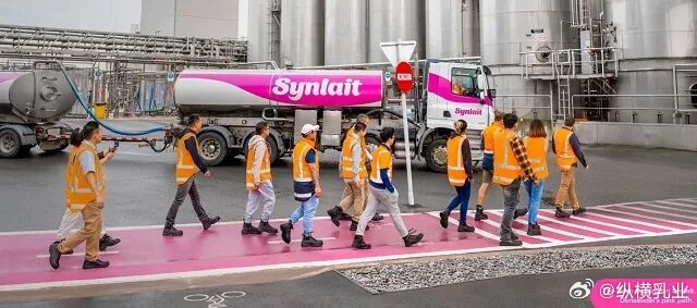 【8000万亏损背后的"完美风暴"】曾经股价冲上10澳元的新西兰乳业明星——新莱