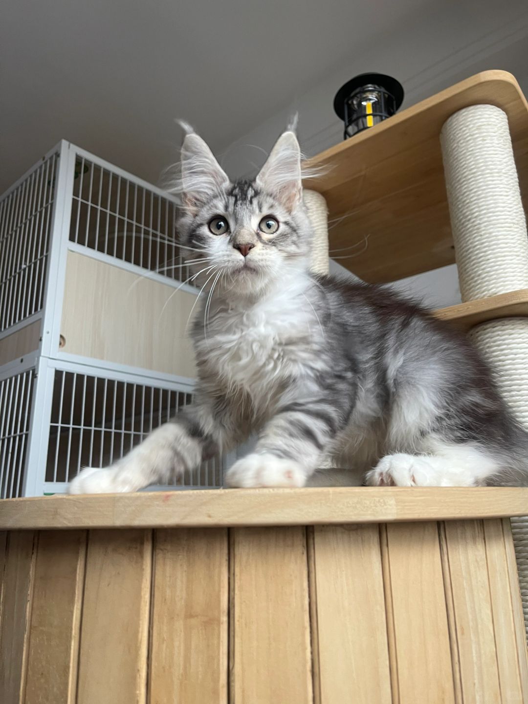 缅因｜是谁站得如此标致？