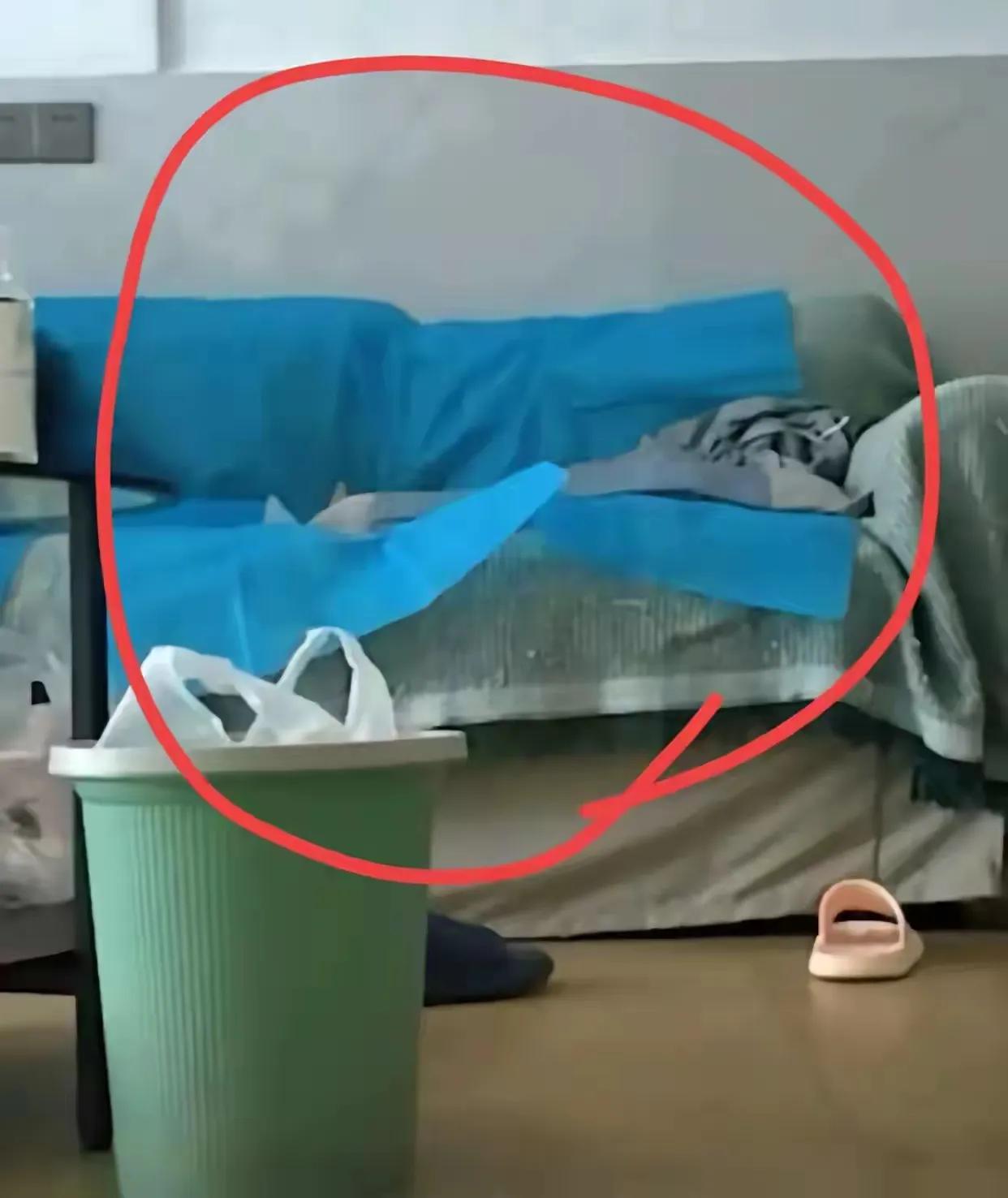 看网友们评价，沙发上铺上无菌垫说明专业，讲卫生，个人觉得更能说明的是早有准备，否