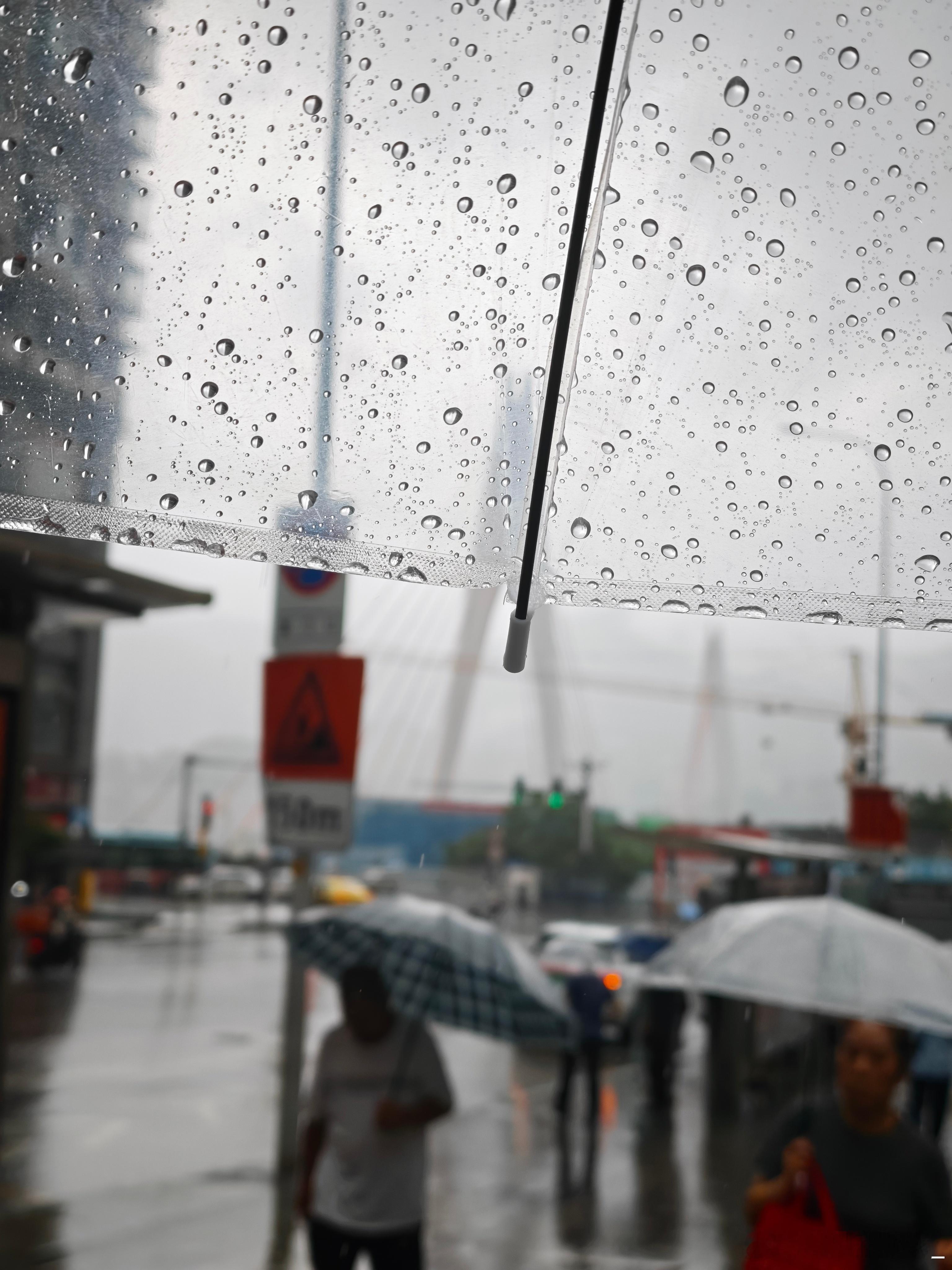 今天这雨下得很猖狂…… 
