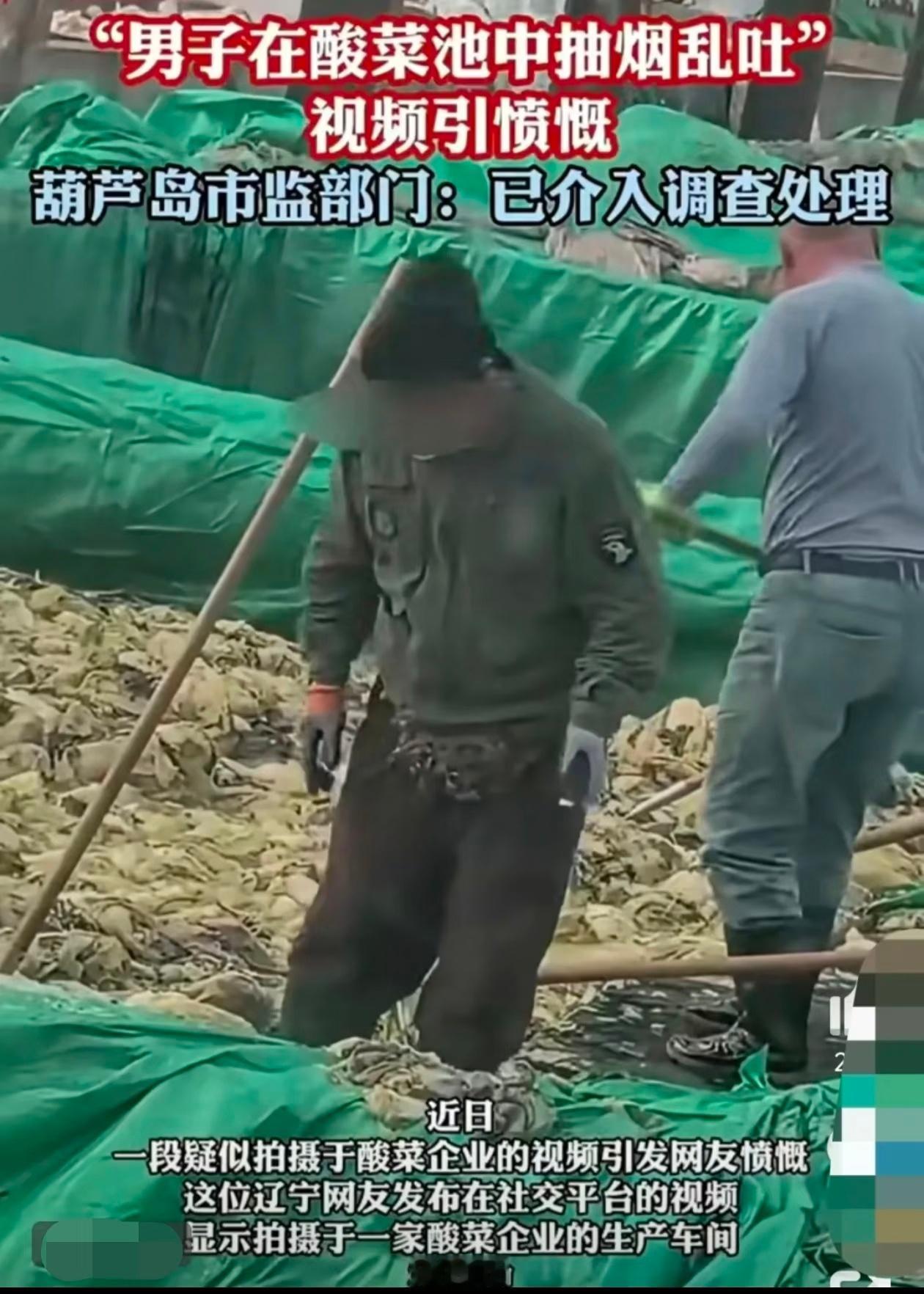 老坛酸菜已经塌无可塌了每次老坛酸菜爆出来就没好事儿，之前还挺喜欢吃酸菜鱼、老坛酸