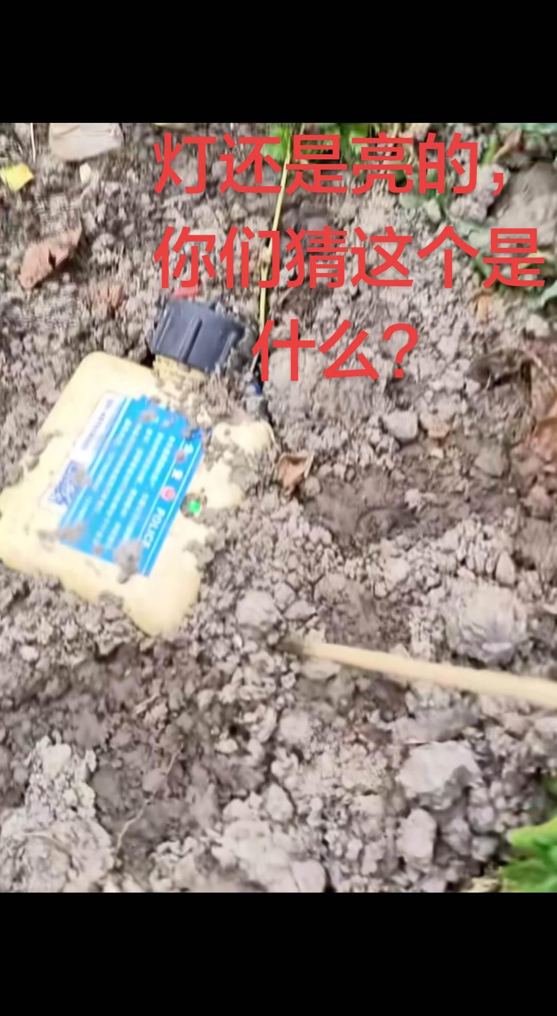 真实生活分享计划 探测仪 这是什么 讨论 随拍
