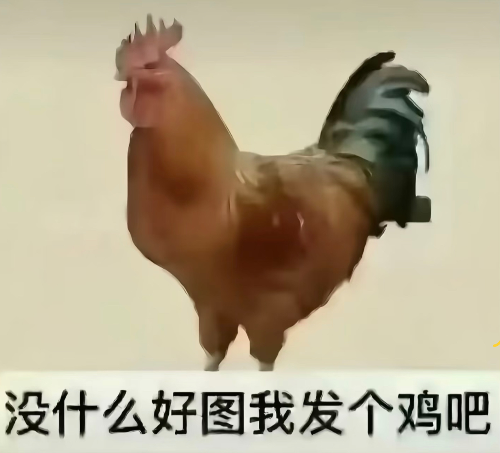 分享图片 