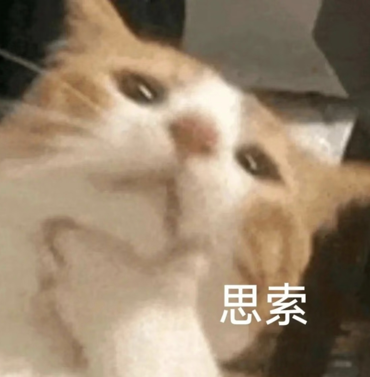 玩加早安 大家最近常用的表情包是什么捏~英雄联盟