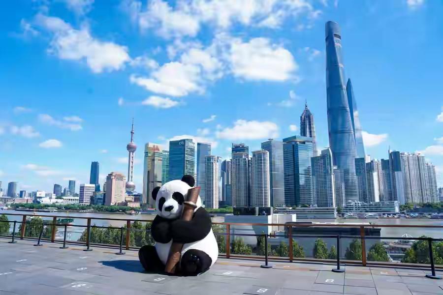 秋意渐深的日子里，连时光都变得格外宽厚。秋像是被岁月慢慢捂热的一段静穆时光，它不