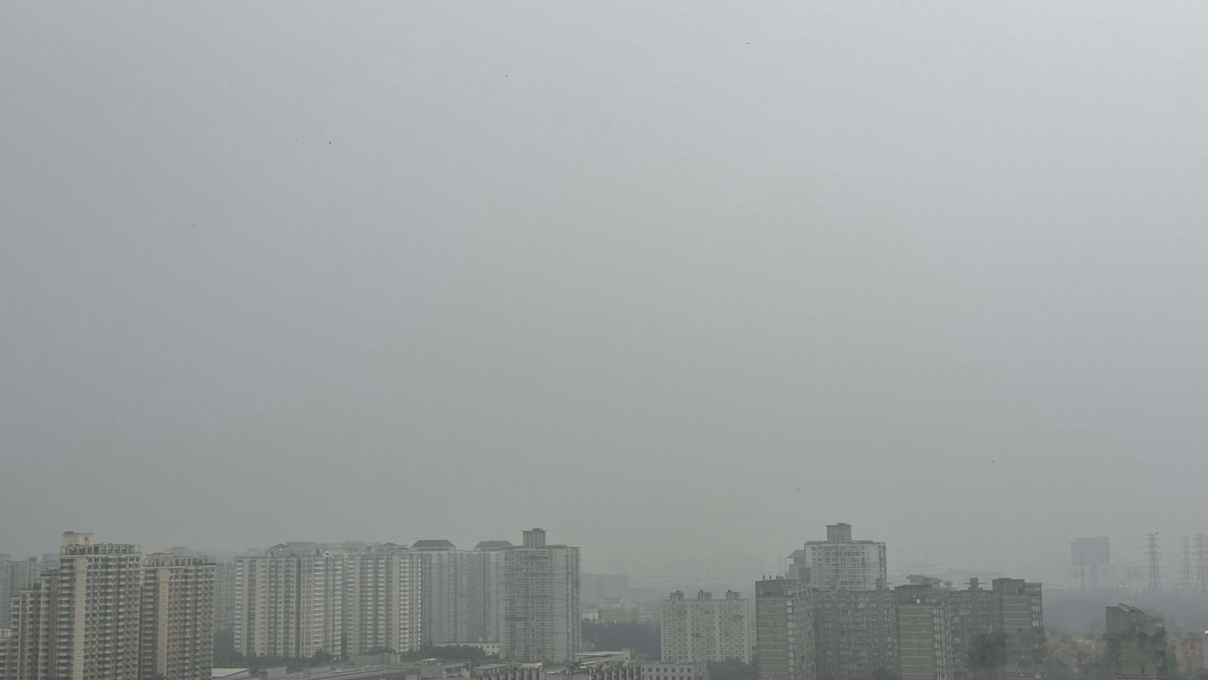 5:35 朗月清风，浓烟暗雨，         天教憔悴度芳姿。与火星第一猫一起