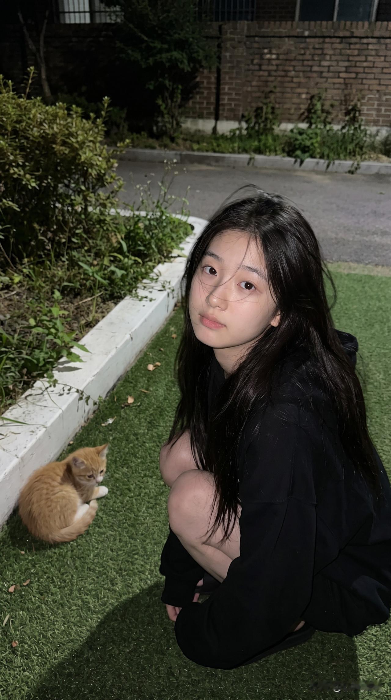 晒出你们的小奶猫