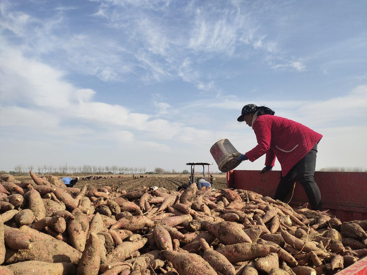 国检抽县名单出炉了，驻村的小伙伴们，该打起精神来了
眼下，2025年国家乡村振兴