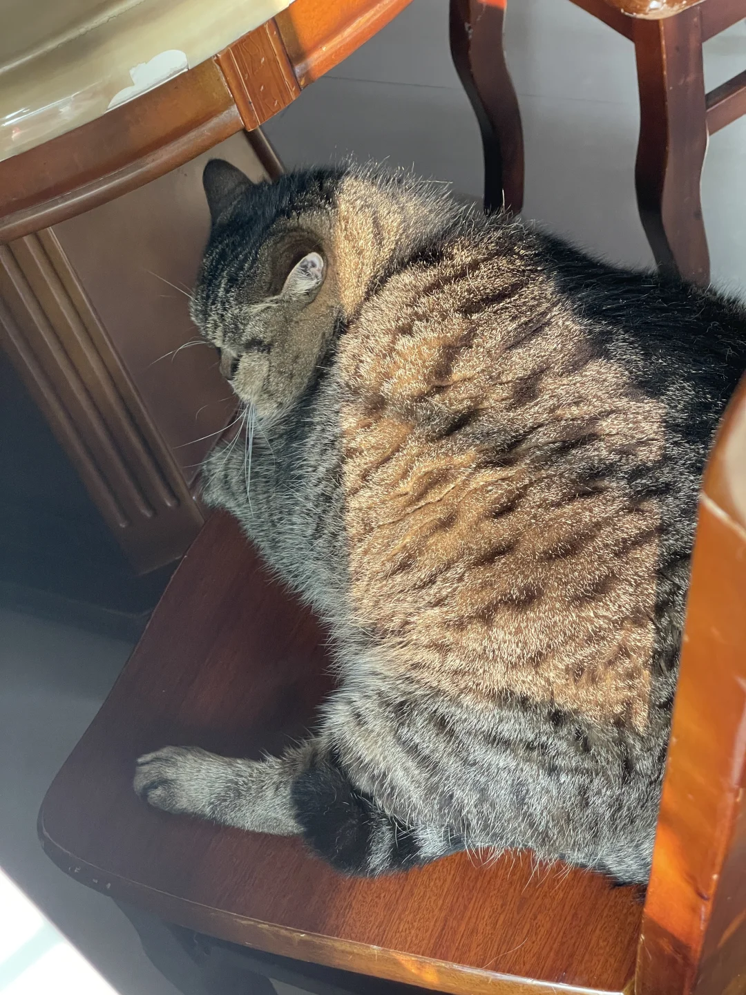 阿弟把“躺平”刻进了DNA里😅