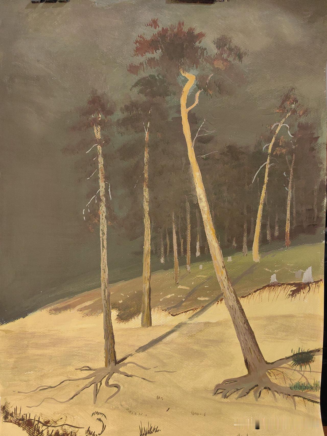 每日一练（水粉画）
 
黄沙托瘦松，
斜干沐轻昏。
露根凝暮色，
独守野云深。