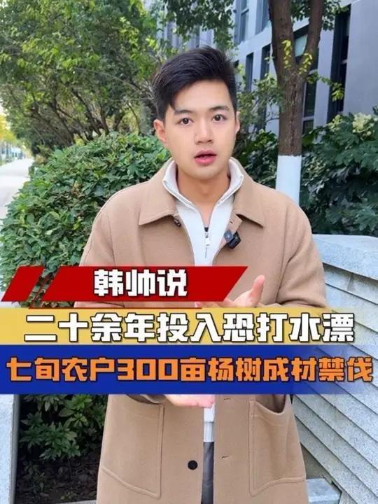 黑龙江齐齐哈尔，71岁的农户王桂菊，在23年前种下数万棵杨树icon，如今杨树成