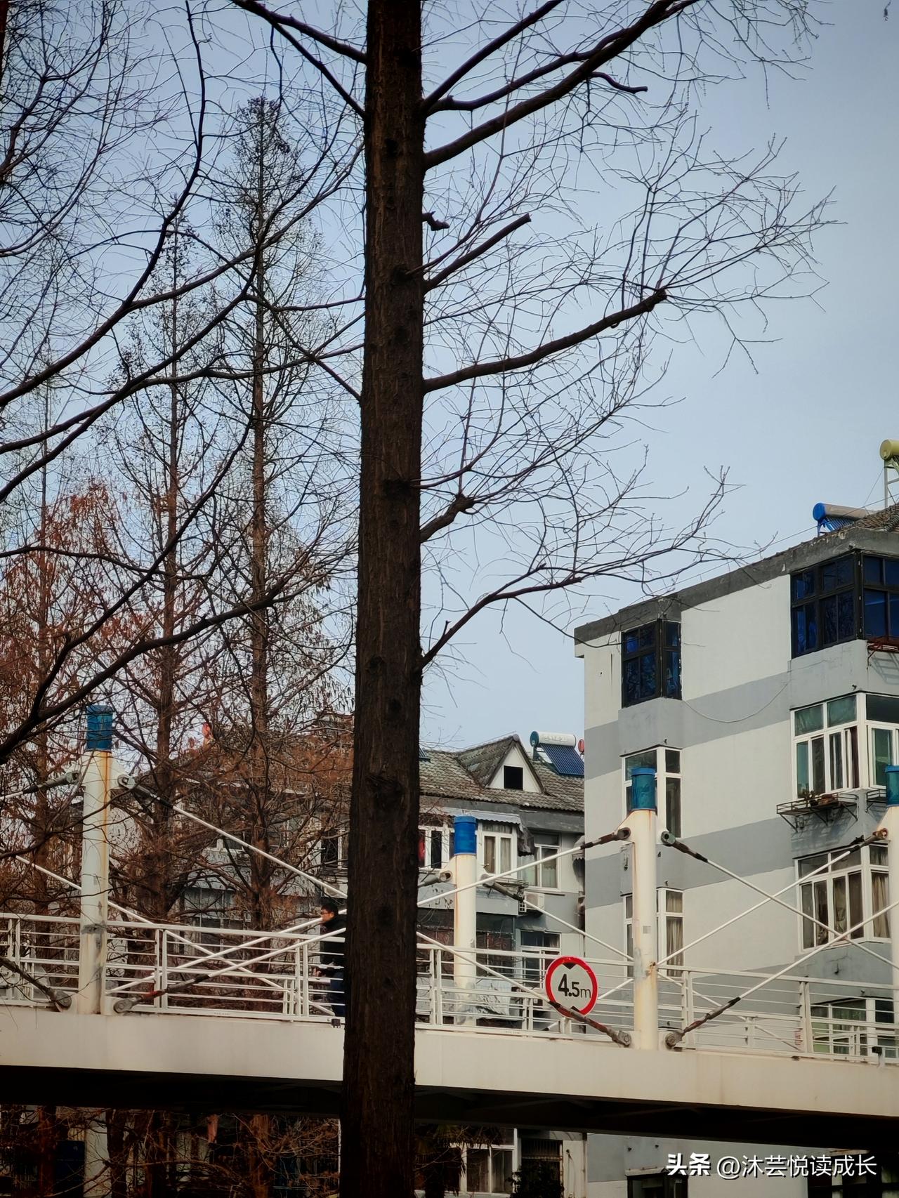 人老了，别省这3样钱，越省越苦
 
人老了，苦了一辈子，
千万别再省这 3 样钱