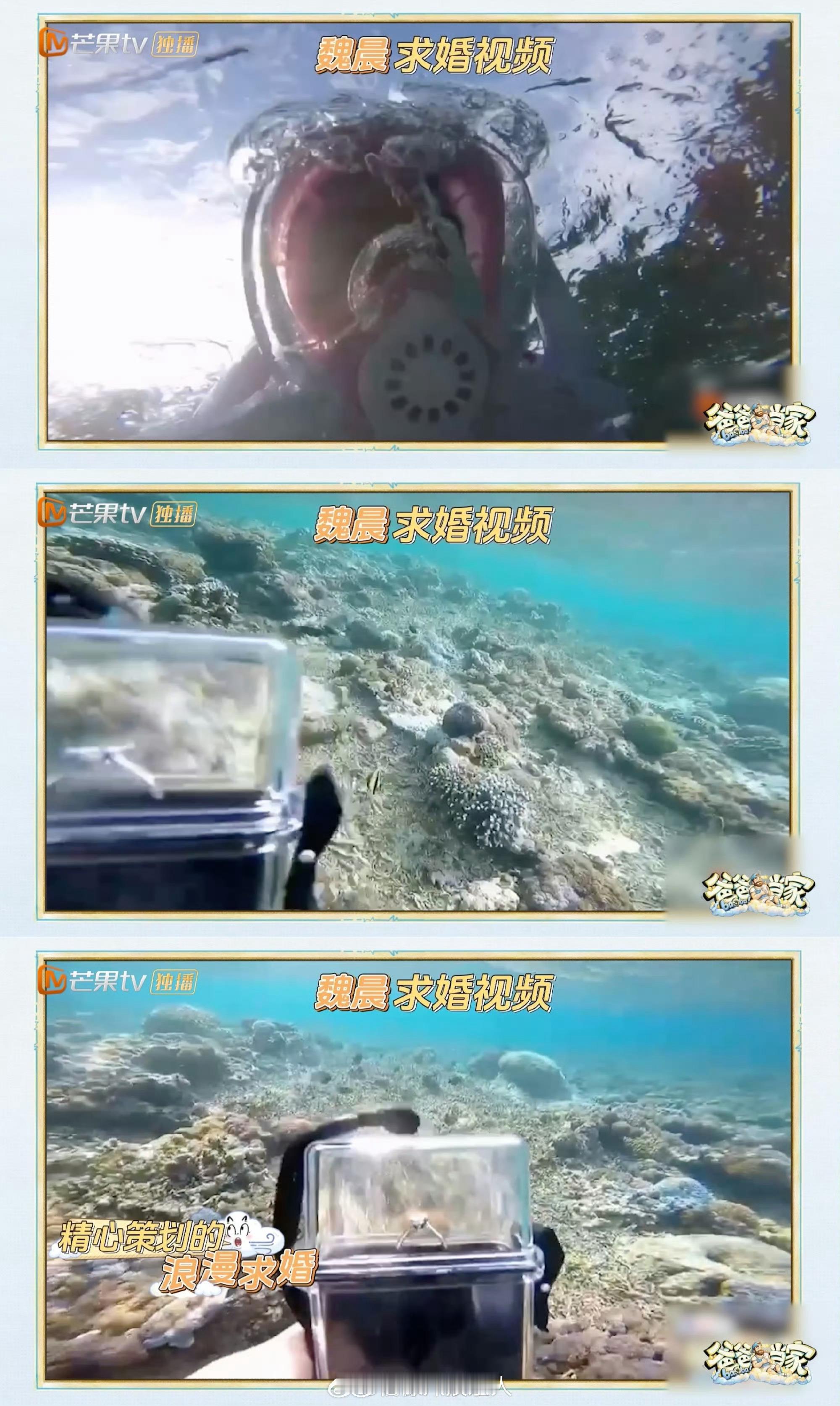 魏晨水下求婚 老婆只顾着追鱼魏晨的求婚现场也太好笑又太好嗑了！精心策划的水下求婚