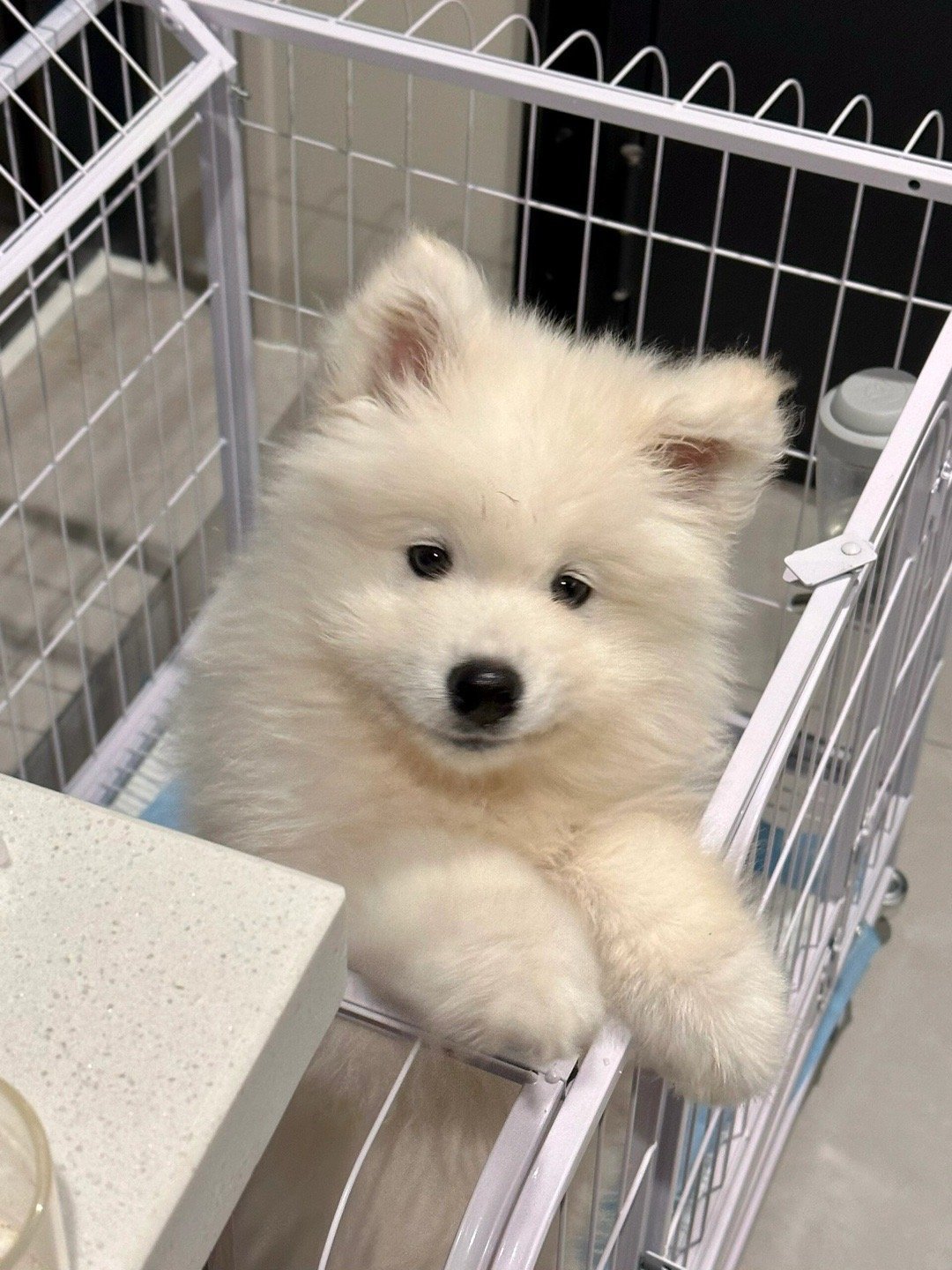 人，坐下！摸我！ 