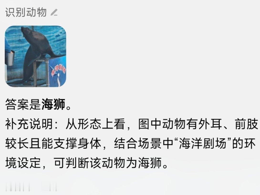 小爱不错。 ​​​