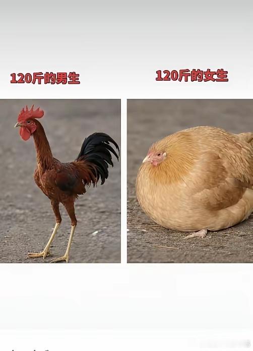 为什么呢 