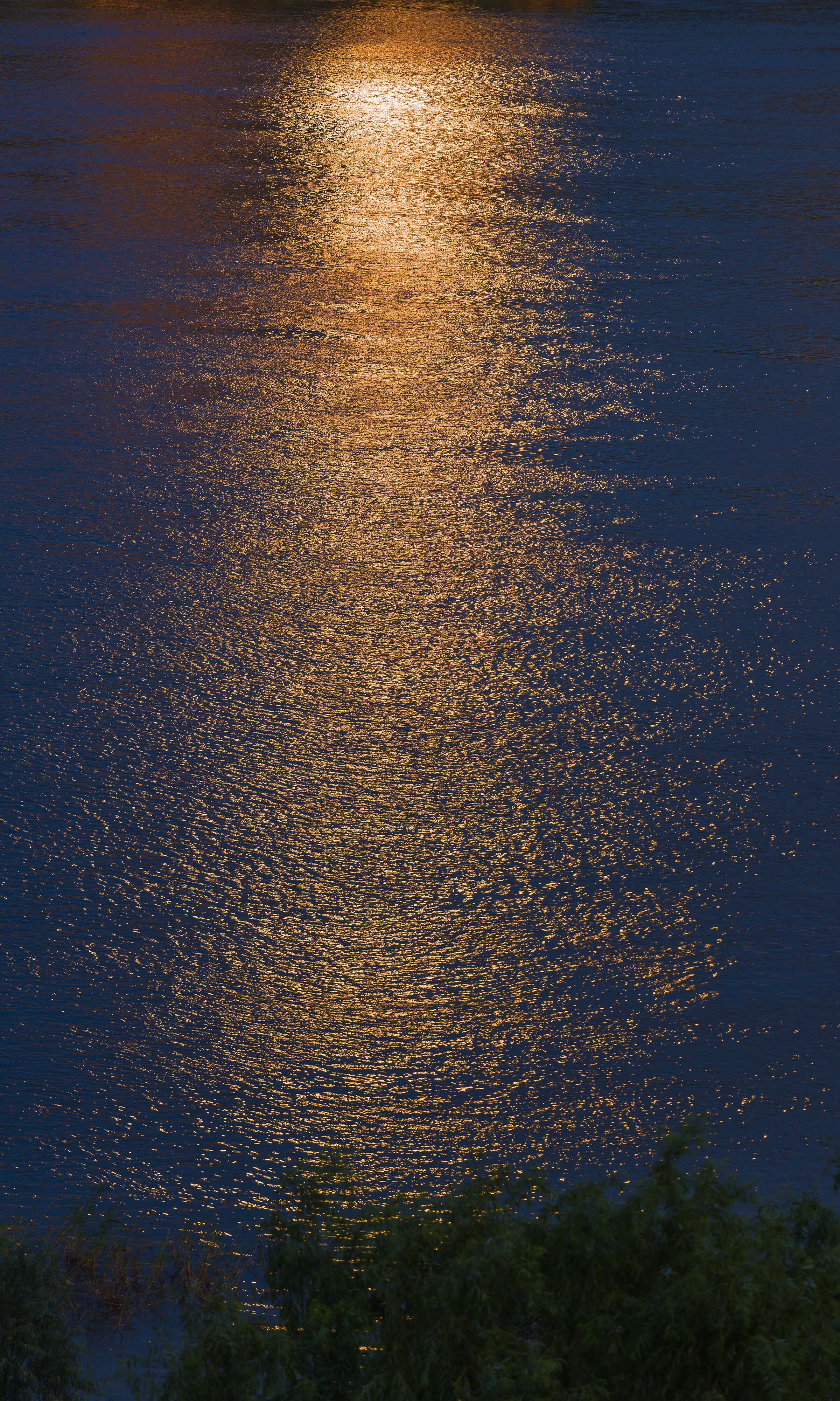 浮光跃金，静影沉璧。 