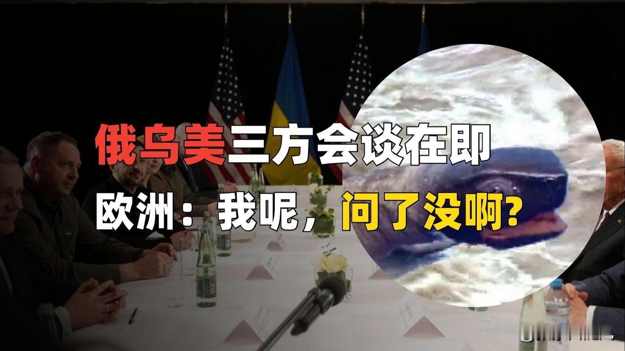 美国促成的俄乌美三方会谈，是真心想让俄乌战争停止。

美国这边压制印度不让买俄油
