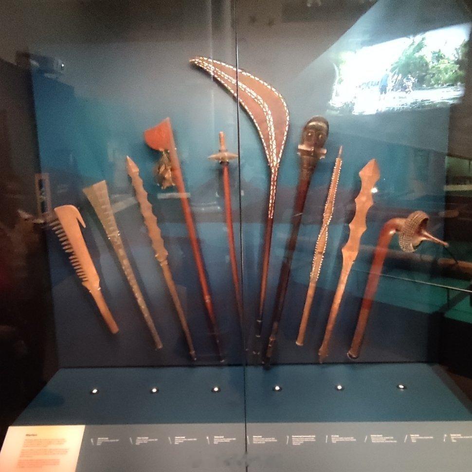 Australian Museum 澳大利亚博物馆，后悔来晚了。肯定需要二刷，才