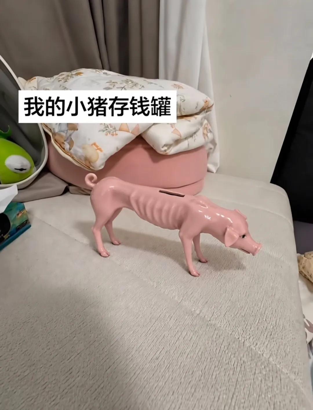符合我经济实力的存钱罐