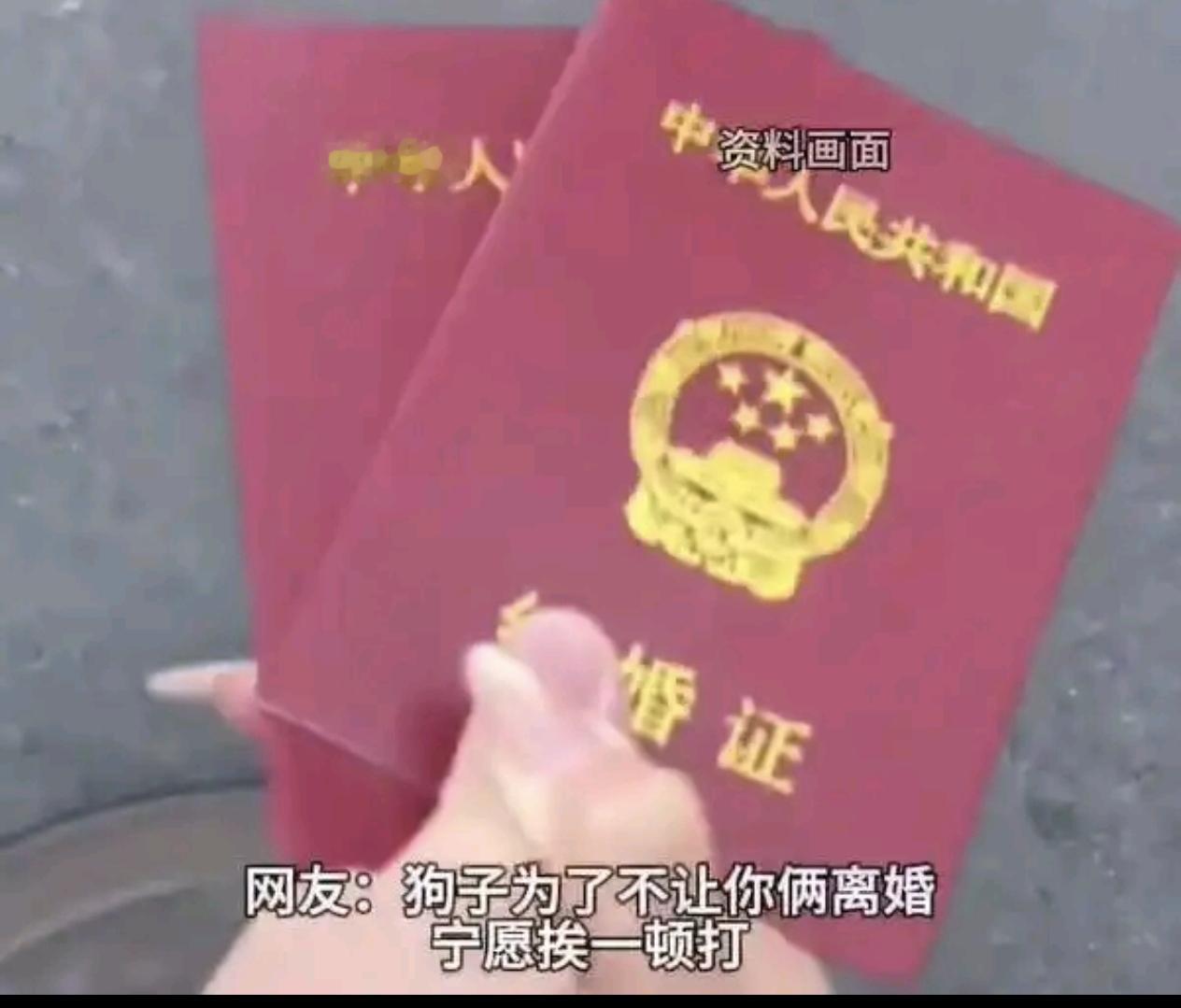 浙江杭州，有一对热恋的情侣同居了，他们还共同饲养了一只小狗，后来情侣俩修成正果领