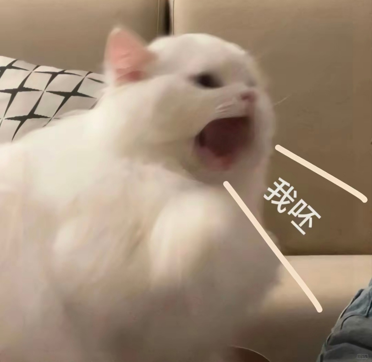 🌞🌞🌞🌞🌞除了蹭热搜的，我发的其他帖子有人能从首页刷到吗[可怜]ydl
