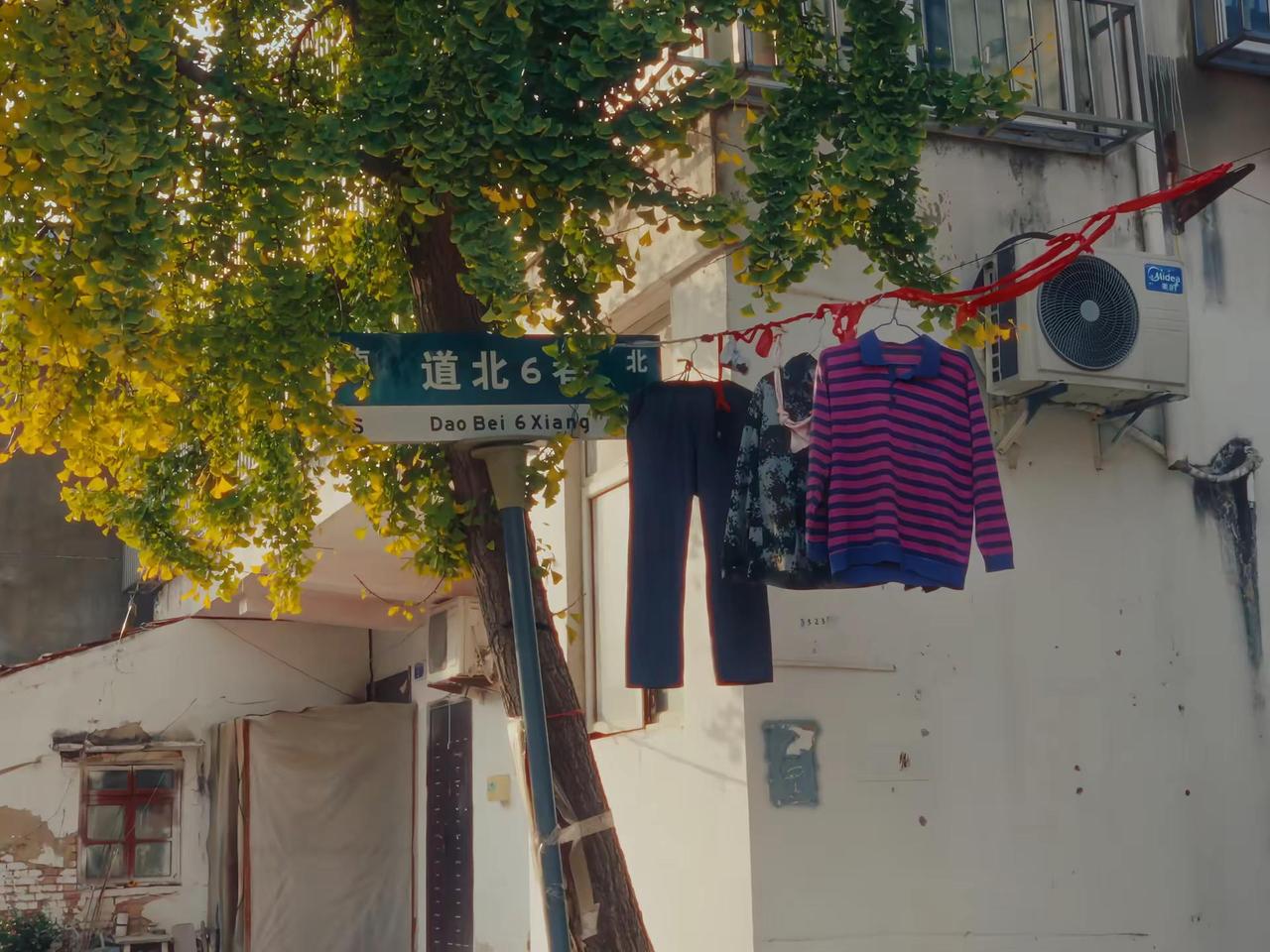 春日午后的松弛感 inmyfeelings 摄影 每一帧都是热爱 胶片模拟