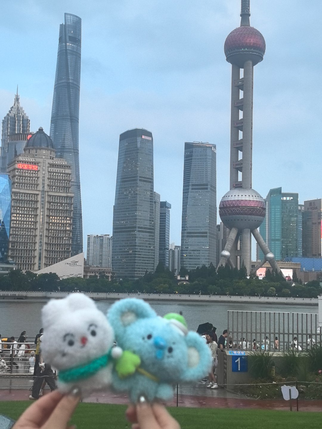 入沪一游 