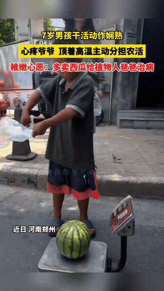 7岁娃街头极速套袋卖瓜，懂事模样看哭路人
 
河南郑州街边，7岁小男孩成了爷爷西