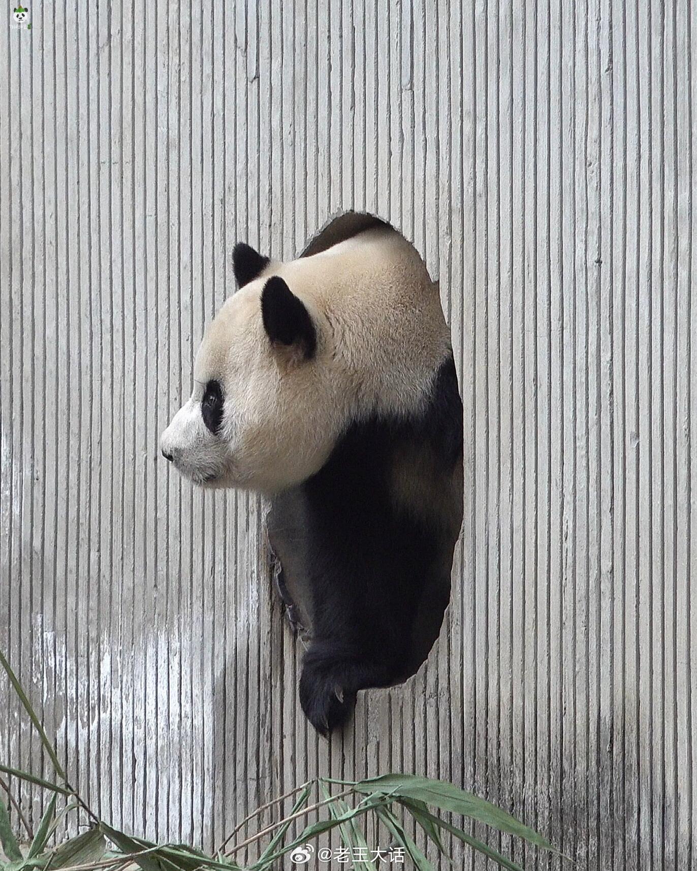 福宝贝的眼睛真漂亮 