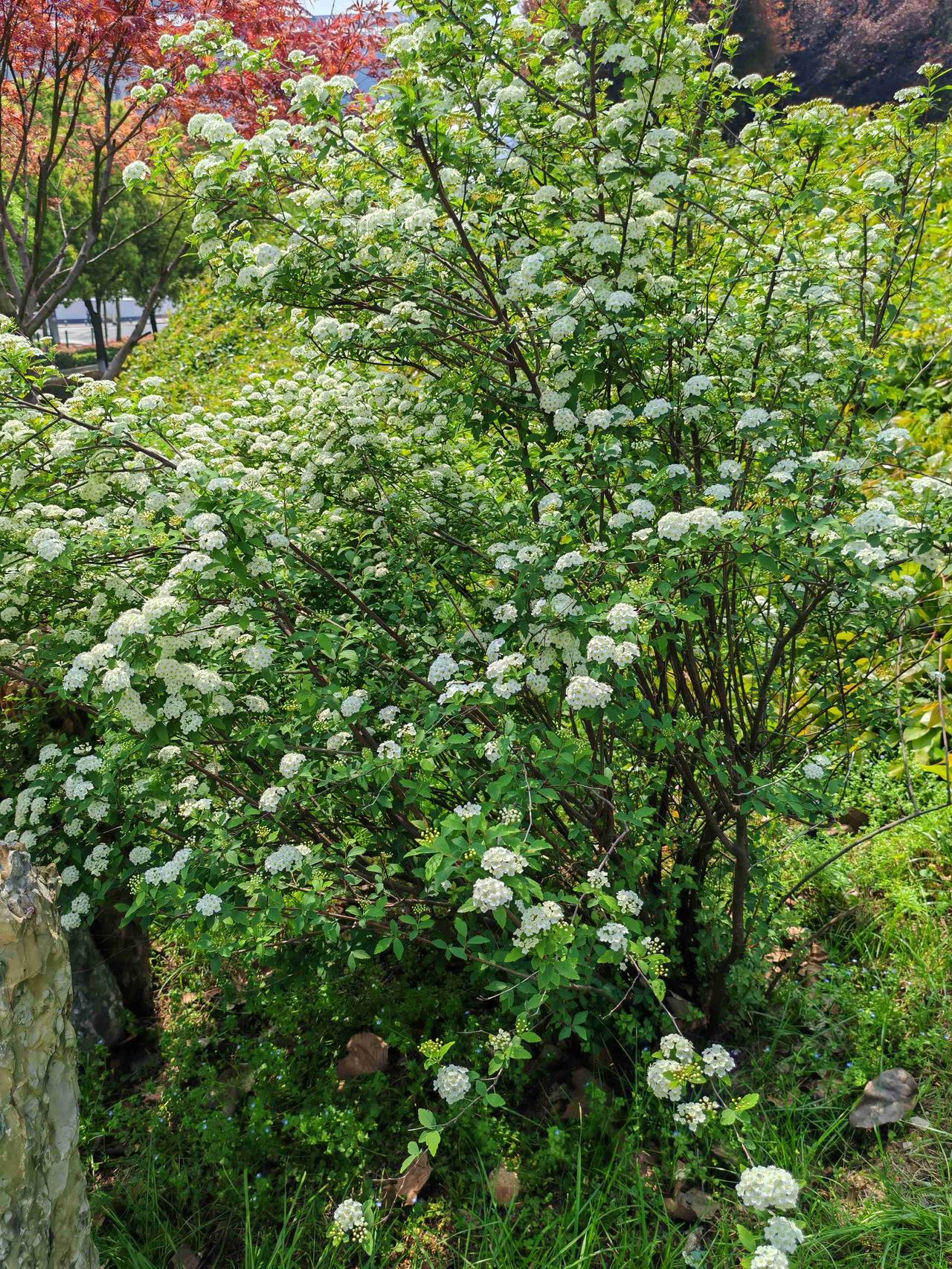 我的今日状态：😁轻松愉快
我这里的天气：☀️晴天