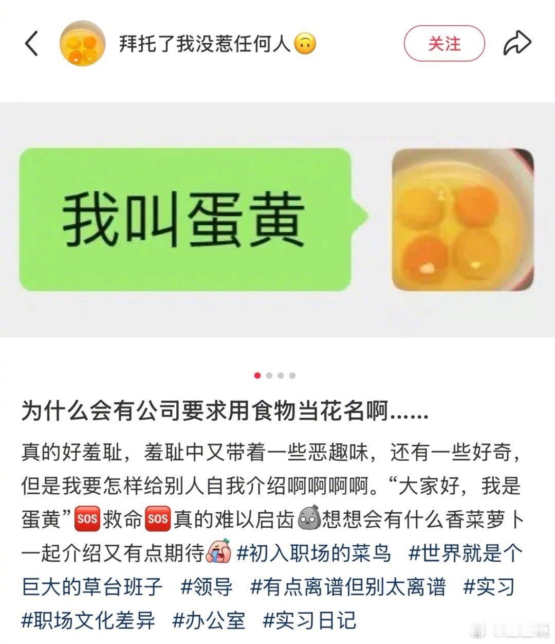 怎么会有公司要求用食物当花名啊 