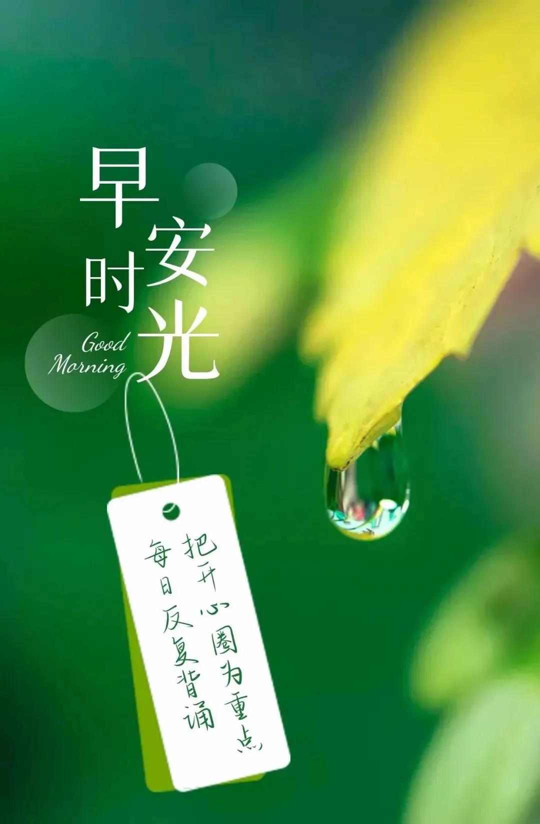 心宽心善都是德，牵挂问候都是缘。
彼此祝福都是情，健康快乐都是福！
早安吉祥