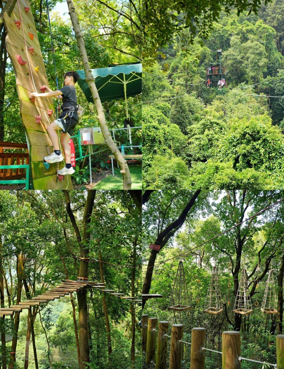 户外爱好者天堂❗️五一丛林探险太满足🌲
户外爱好者集合❗️❗️❗️
五一直接冲