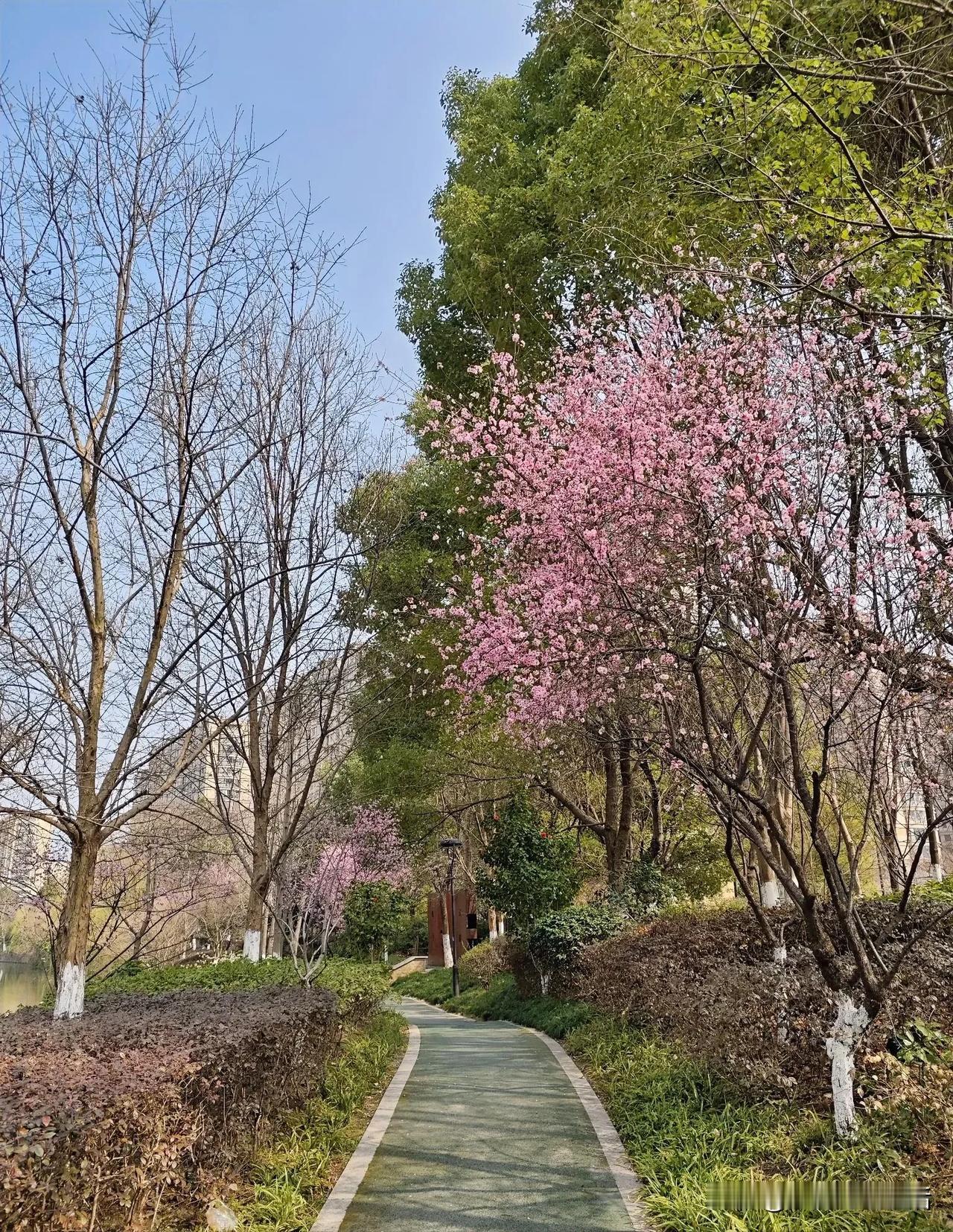 每个季节都有它独自的美丽和韵味！
春花秋雨、夏荷冬雪，都有独特的芬芳、独特的景致