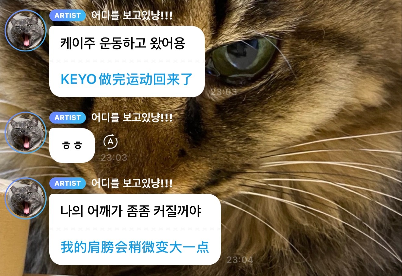 我不会放过你的