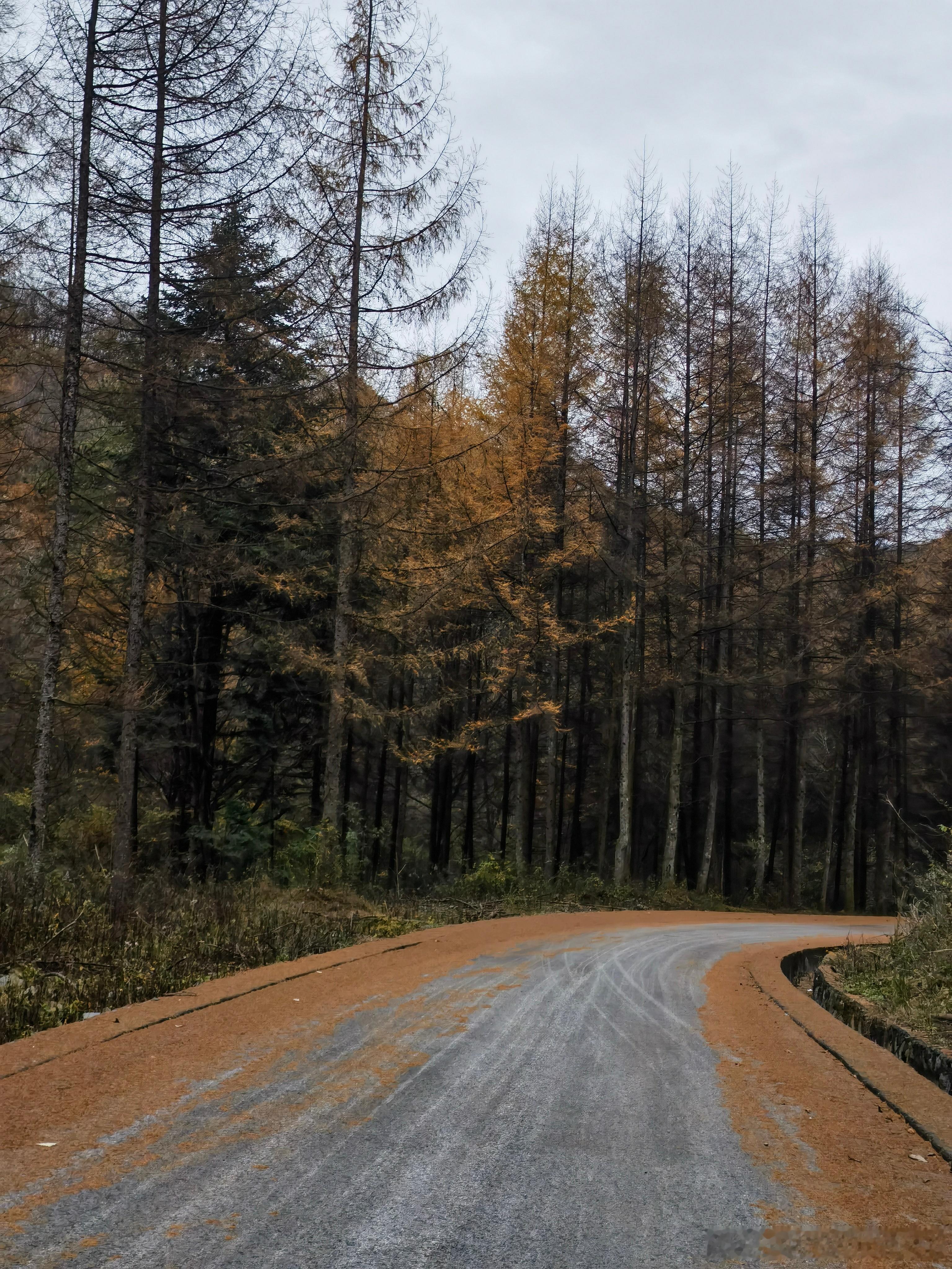 世界的温柔来自于你的强大伟大的行动不是动机崇高是后果深远 