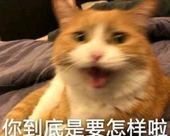 外卖从制作到配送都关乎安全，新规关注到餐箱卫生很必要，这些天天装食物的箱子不消毒