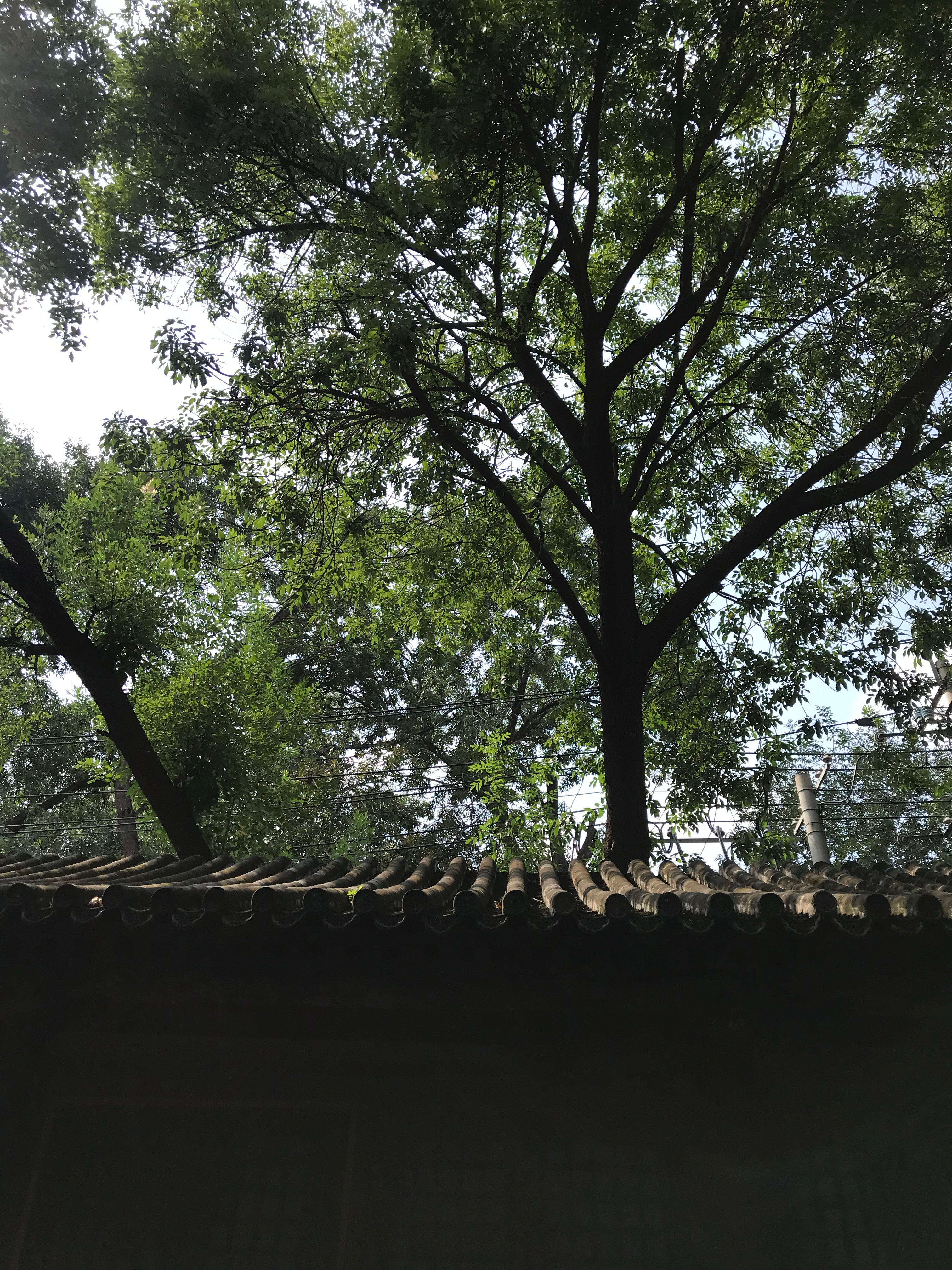 过得很爽的周末 ​​​