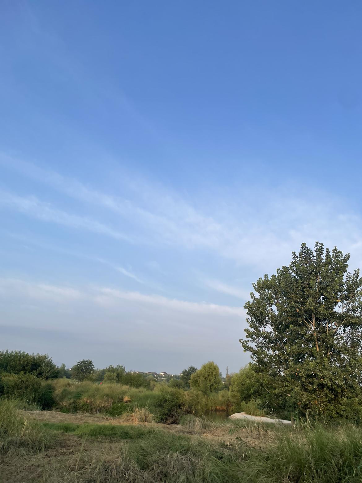 我的今日状态：😁轻松愉快
我这里的天气：☀️晴天