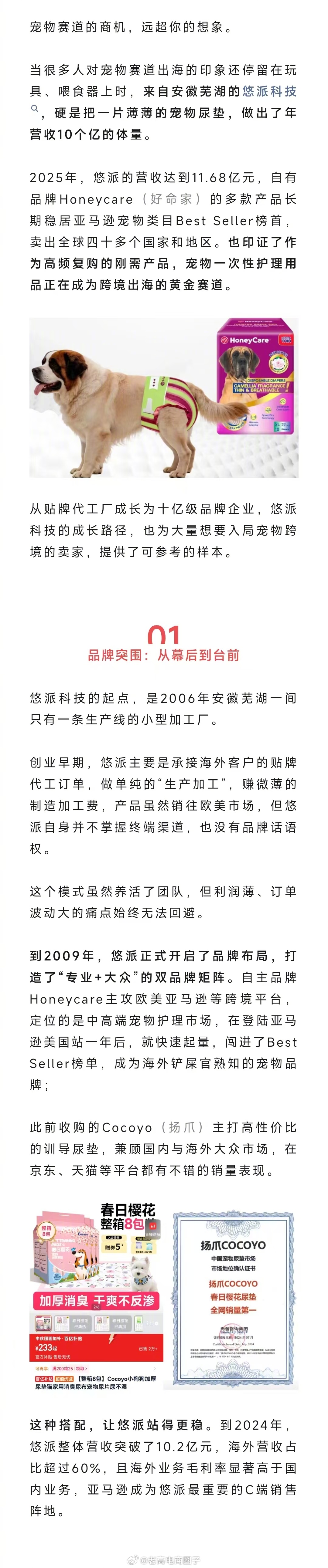 年入10个亿，安徽老板押对宠物新赛道，拿下亚马逊No.1 ​​​