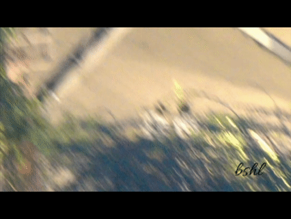 贺峻霖粉丝给桃花坞放饭了 五十公里桃花坞录制现场，贺峻霖粉丝稳定输出饭拍，画质好