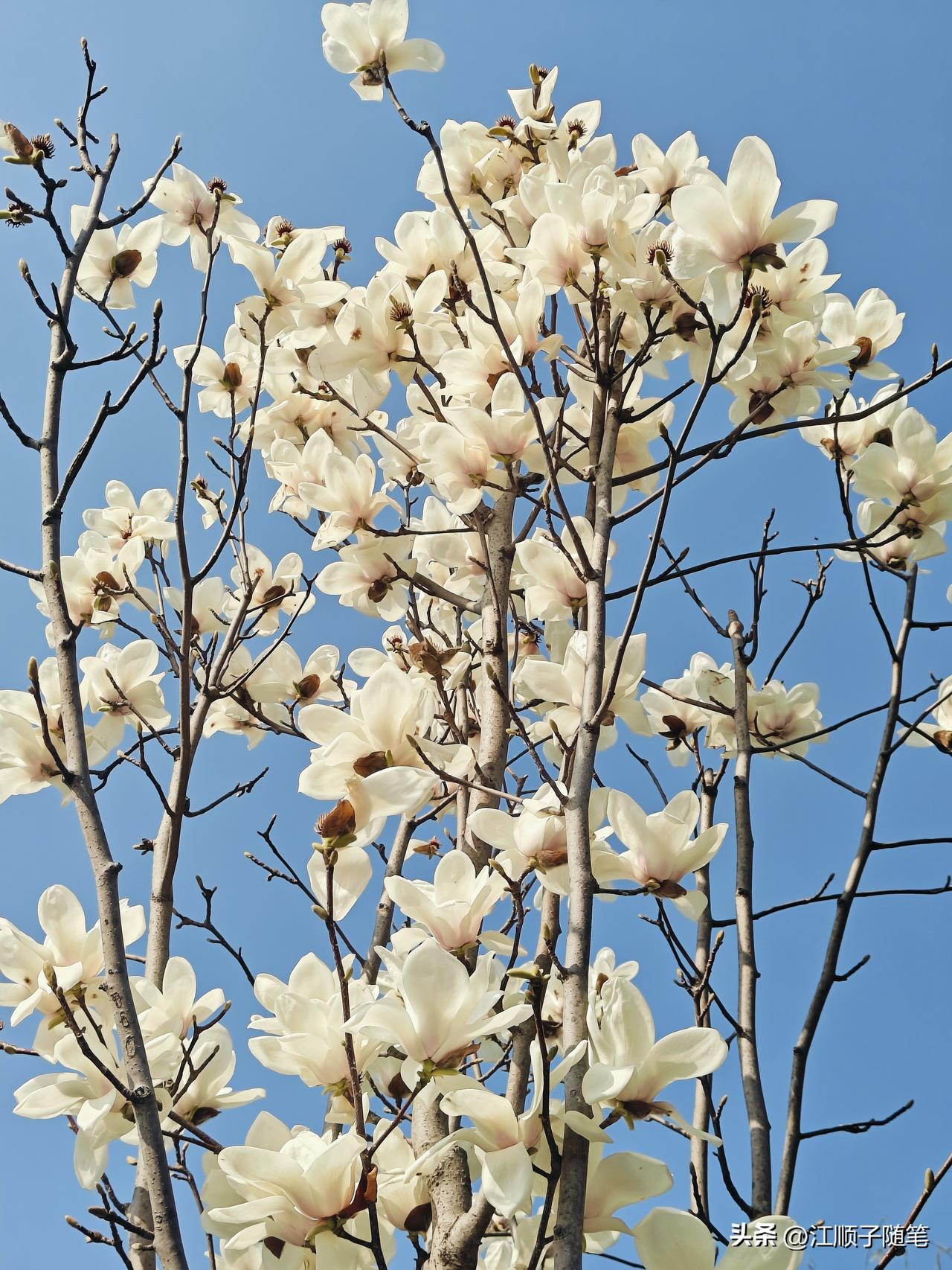 谁让你闹心，就干脆离谁远点。
这种人除了给你添堵、耗你情绪，啥用都没有。
低质量